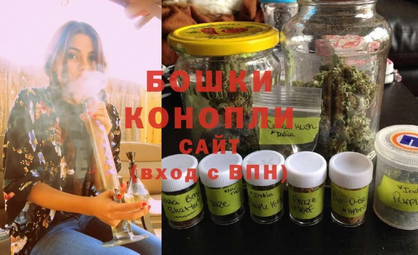 ГАЛЛЮЦИНОГЕННЫЕ ГРИБЫ Баксан
