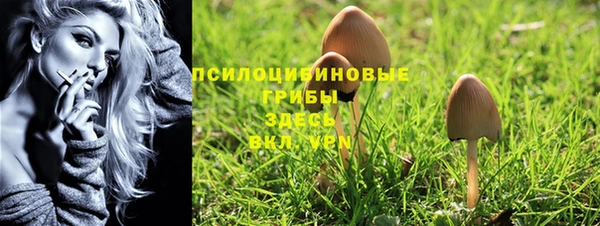 соль курить ск Кулебаки