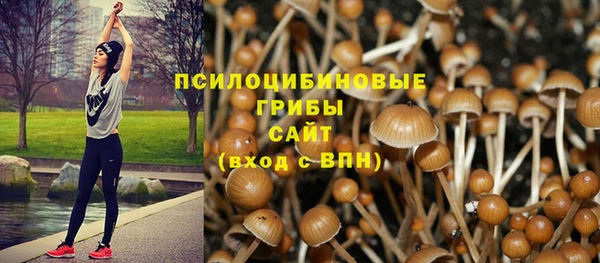 ГАЛЛЮЦИНОГЕННЫЕ ГРИБЫ Баксан
