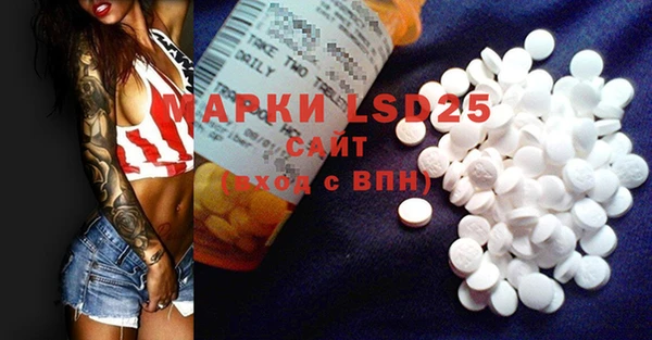 ГАЛЛЮЦИНОГЕННЫЕ ГРИБЫ Баксан
